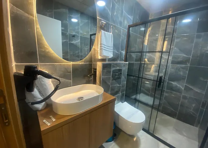 Beşiktaş Vip Hotel&suites *